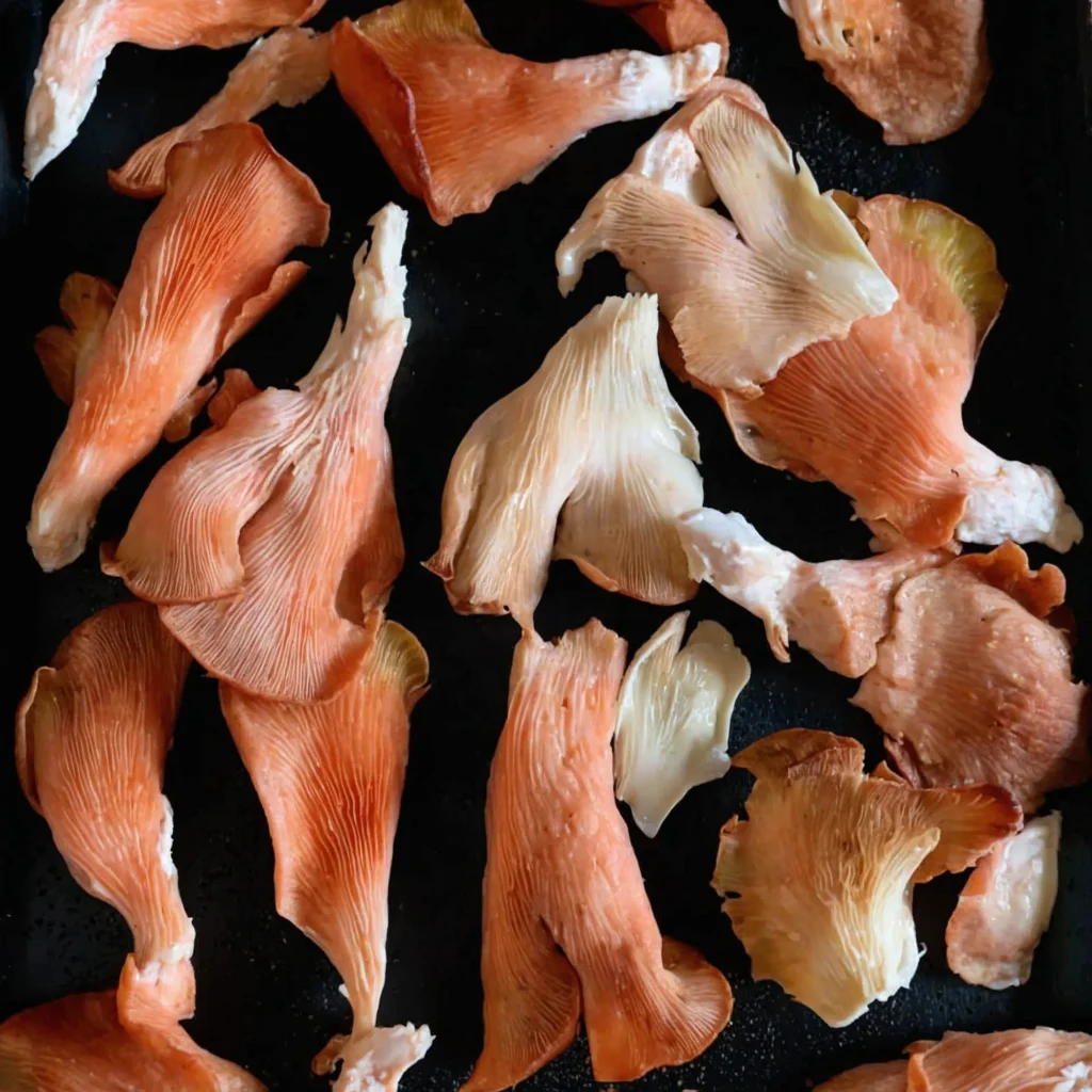 this image shows the Vegan Pink Oyster Mushroom